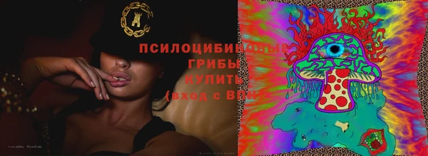 гидра Новокубанск