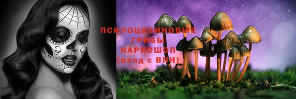 винт Новозыбков