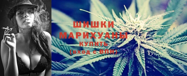 гидра Новокубанск