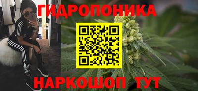 СК Канаш