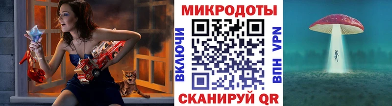 Псилоцибиновые грибы Psilocybine cubensis  Северск 