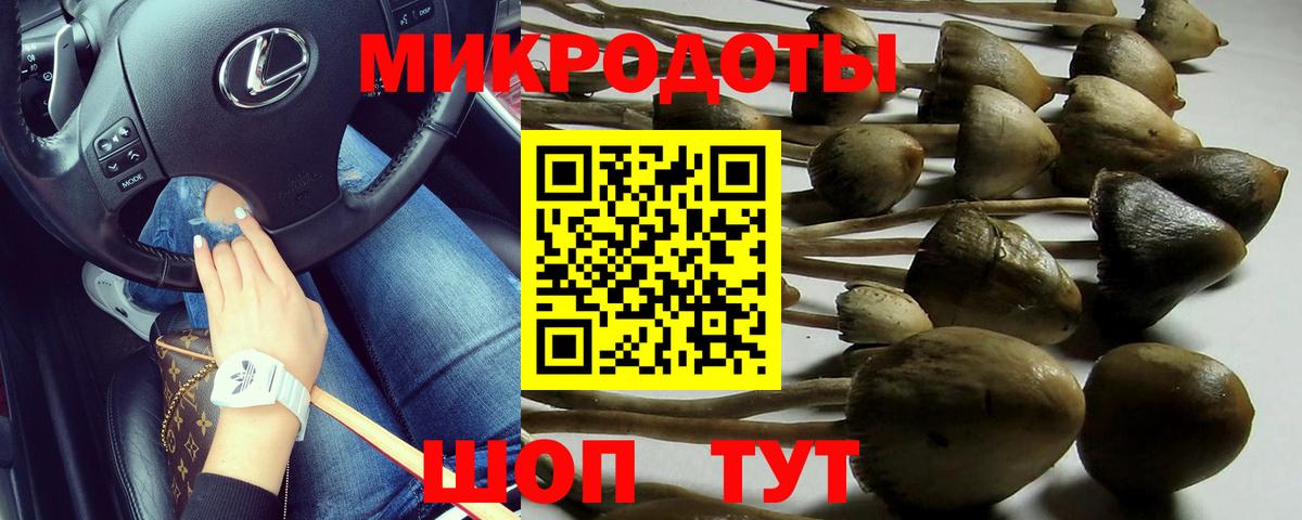 Псилоцибиновые грибы прущие грибы  Вход с VPN  Северск 