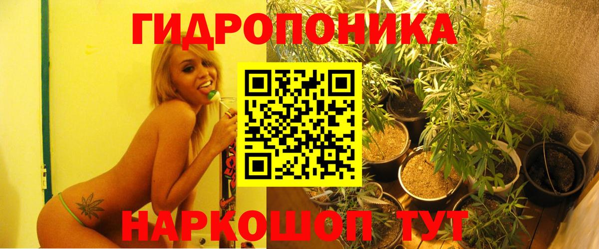Северск  Шишки марихуана планчик  Канабис LSD WEED  Вход с VPN  Марихуана конопля  Бошки марихуана семена 